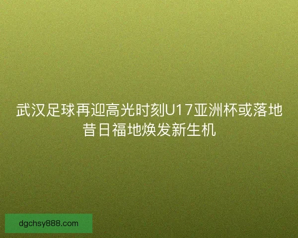 武汉足球再迎高光时刻U17亚洲杯或落地昔日福地焕发新生机